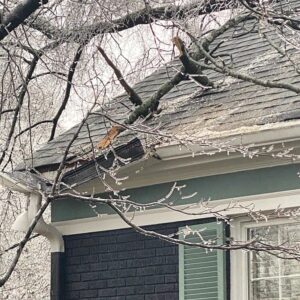 limb in roof from ice and damage gutter