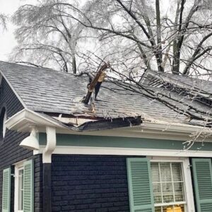 limb in roof from ice 