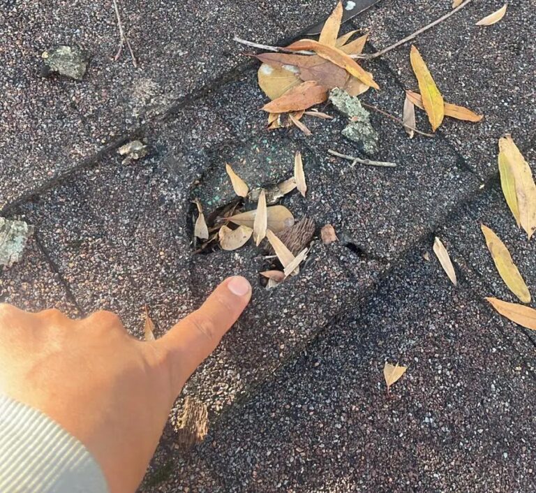 roof inspection in Memphis, TN tree limb damage hole in roof